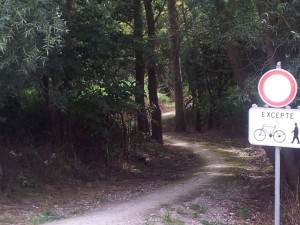 jogging-classes-vertes